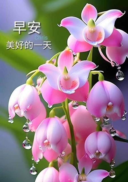 按我可連結至更清楚的圖片